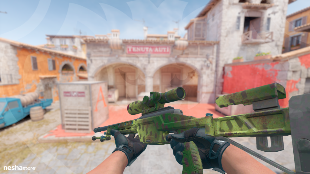 SSG 08 - Marcas de Líquen