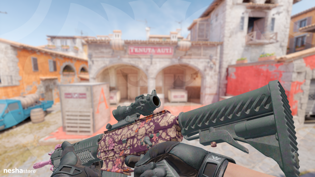 SG 553 - Florescer Desértico