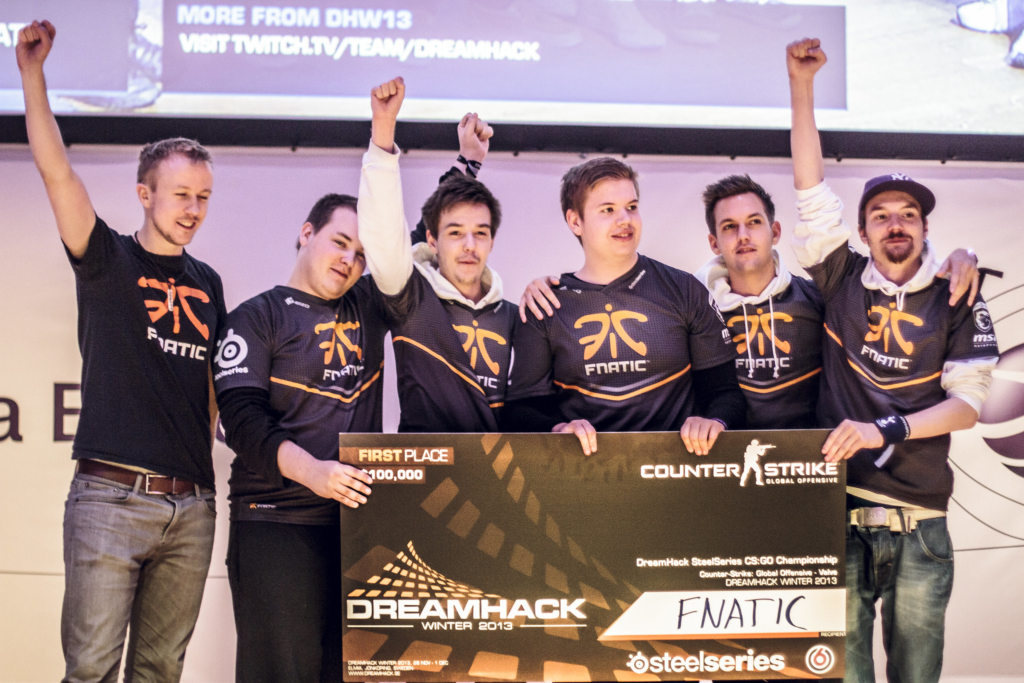 fnatic DreamHack Winter 2013