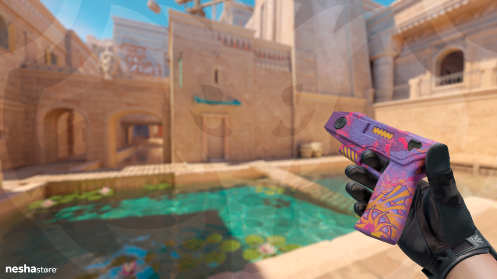 Zeus x27 | Mandala Terreno