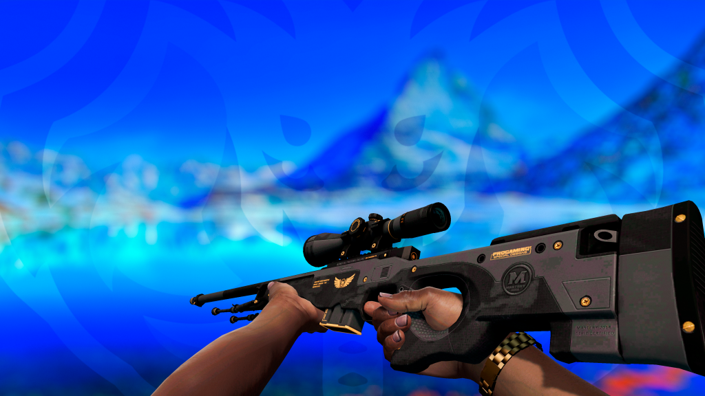 AWP Porte de Elite FN