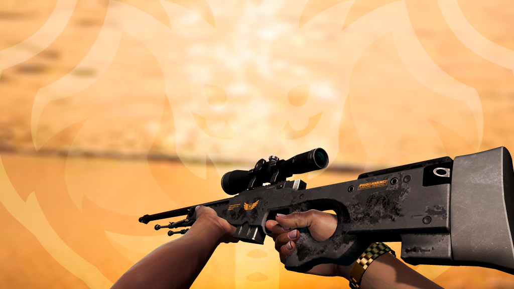 AWP Porte de Elite BS