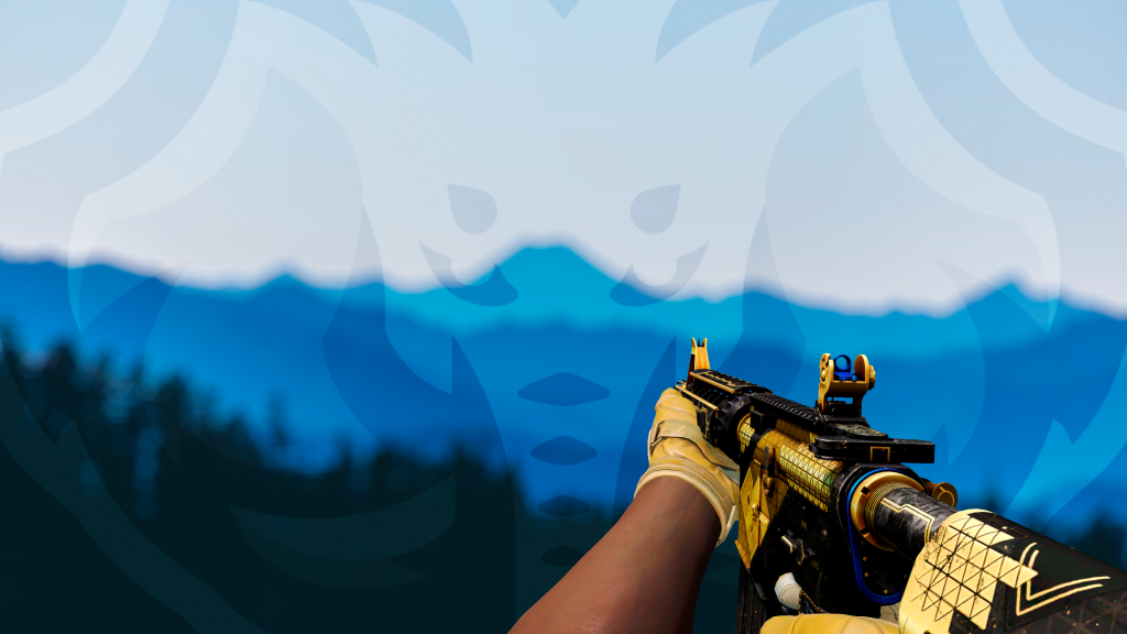 M4A4 Coalizão com Luva Transporte