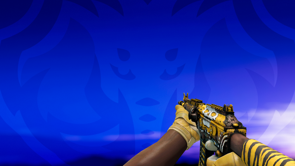 Galil AR Tagarela com Luva Transporte