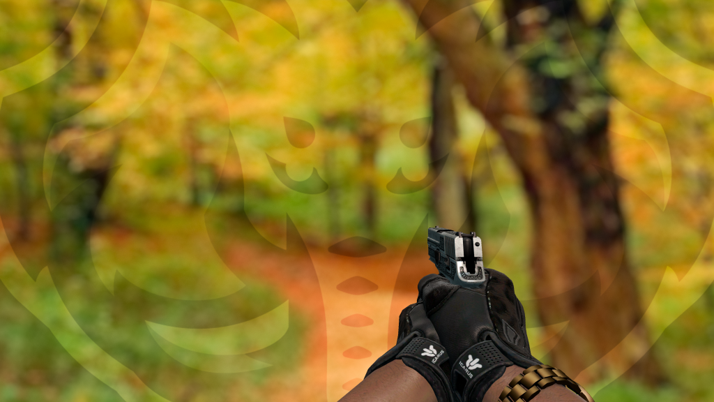 P250 Cartel com Luva Nocts