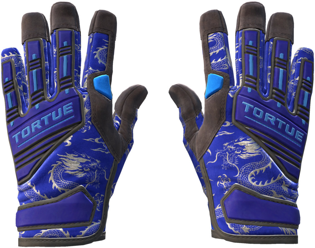 Especialist Gloves | Cloud Chaser (146)