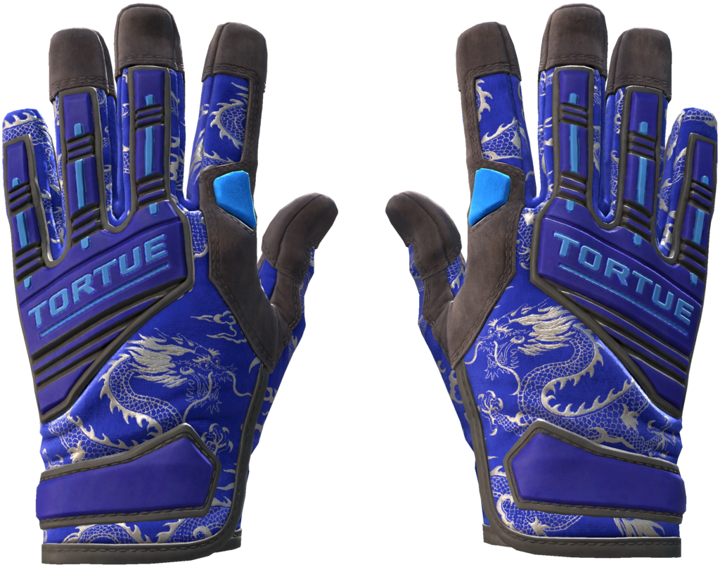 Especialist Gloves | Cloud Chaser (551)